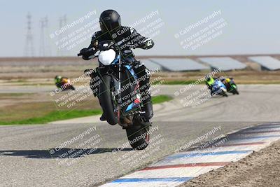 media/Feb-21-2025-Lets Ride (Fri) [[f483f33afd]]/A Group/1220pm (Wheelie BUmp)/